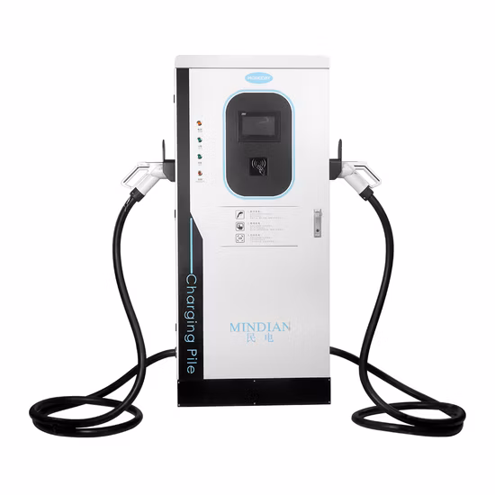 電気自動車 DC 急速充電器 30kw 40kw 60kw ダブルガンフロア